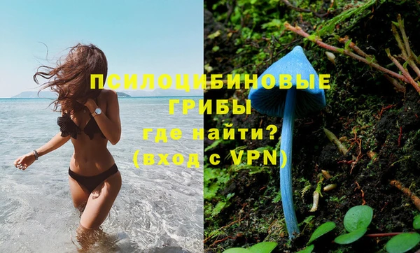 мдпв Балахна
