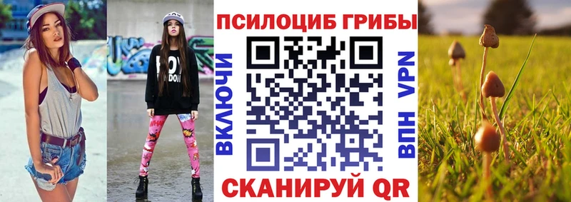 Псилоцибиновые грибы Magic Shrooms  Морозовск 